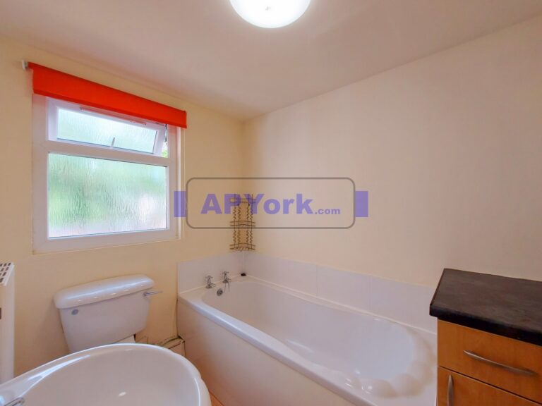 tang hall lane 248 24 768x576