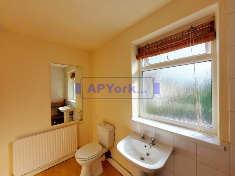 tang hall lane 248 26 1 768x576