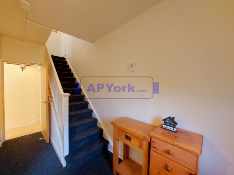 tang hall lane 248 29 768x576